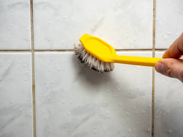 Best Mold Cleaning Services  in Parker, FL