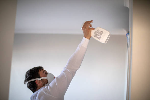 Best Same-Day Mold Removal  in Parker, FL