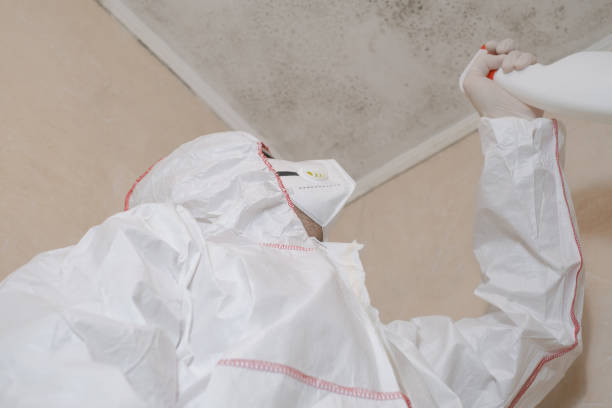 Best Mold Remediation  in Parker, FL