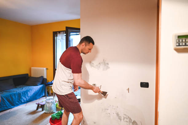 Best Toxic Mold Removal  in Parker, FL